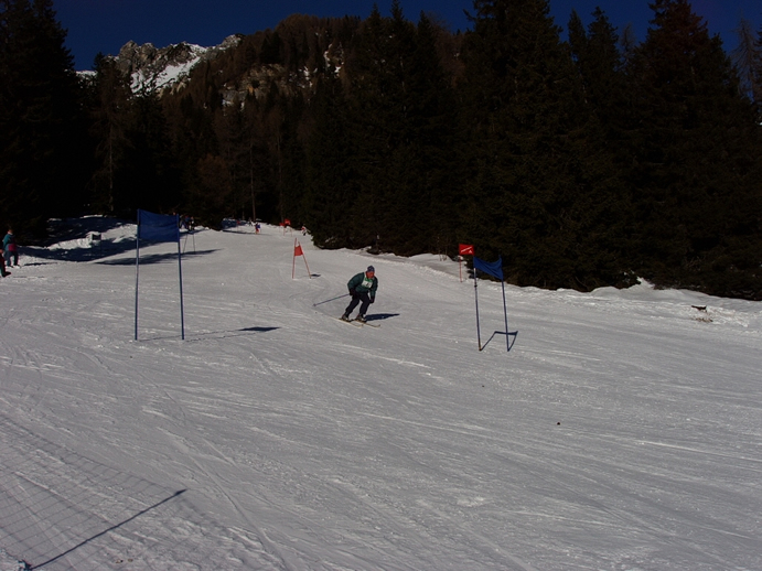 Sci  - Slalom